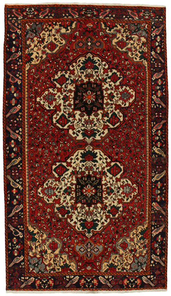 Bakhtiari Περσικό Χαλί 288x164