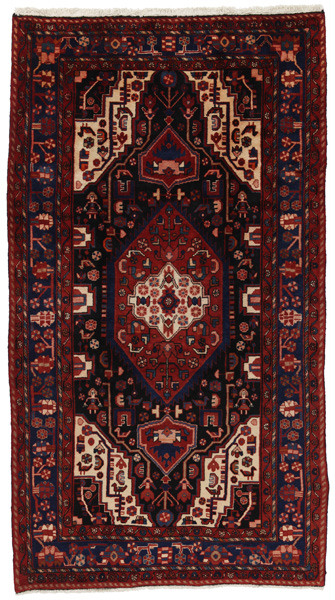 Nahavand - Hamadan Περσικό Χαλί 305x169