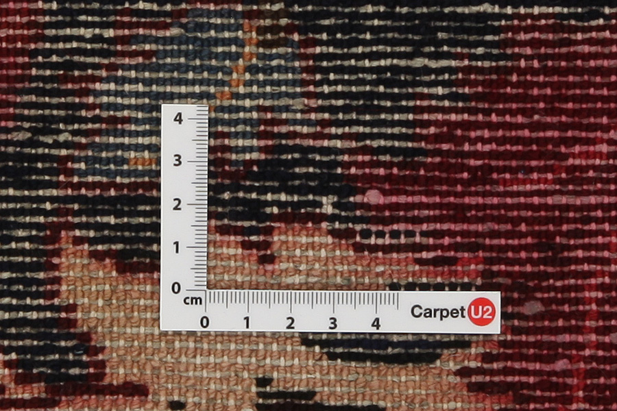 Bakhtiari - Garden Περσικό Χαλί 303x164 - Εικόνα 3