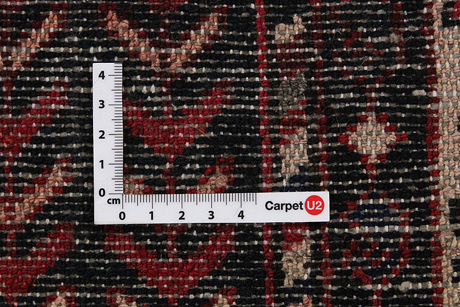Bakhtiari - Garden Περσικό Χαλί 320x167 - Εικόνα 3