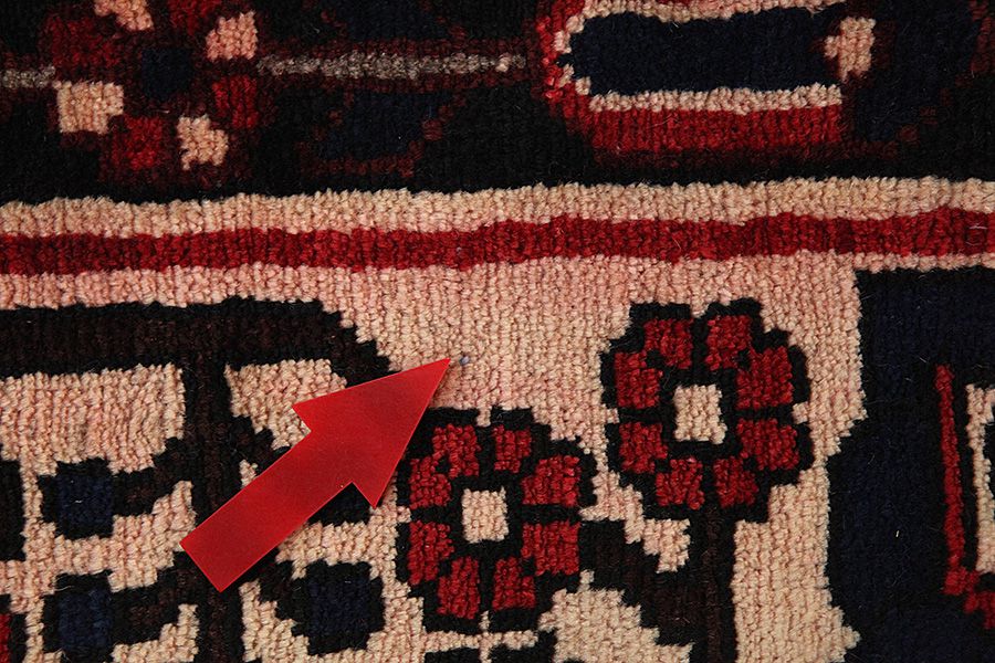 Bakhtiari - Garden Περσικό Χαλί 305x205 - Εικόνα 8