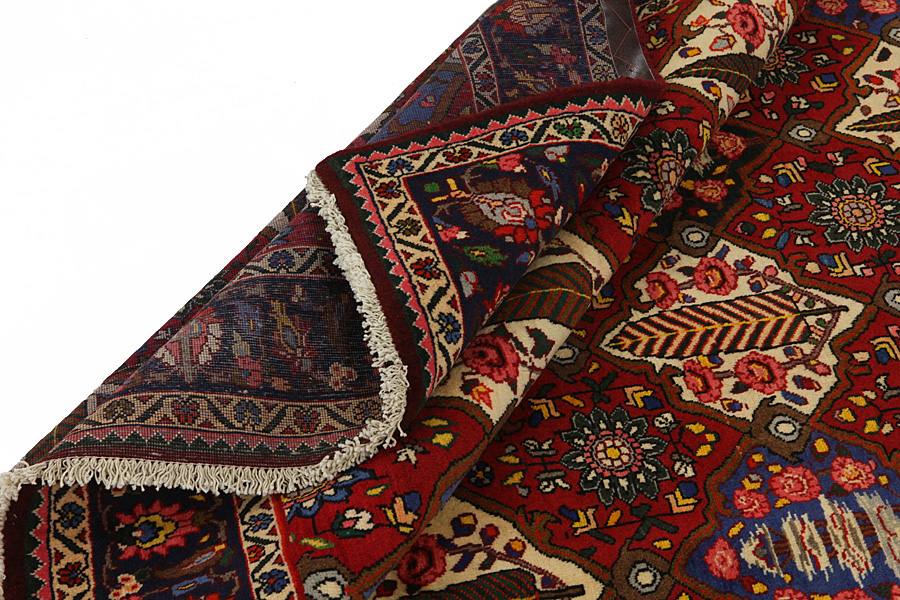 Bakhtiari - Garden Περσικό Χαλί 313x208 - Εικόνα 4