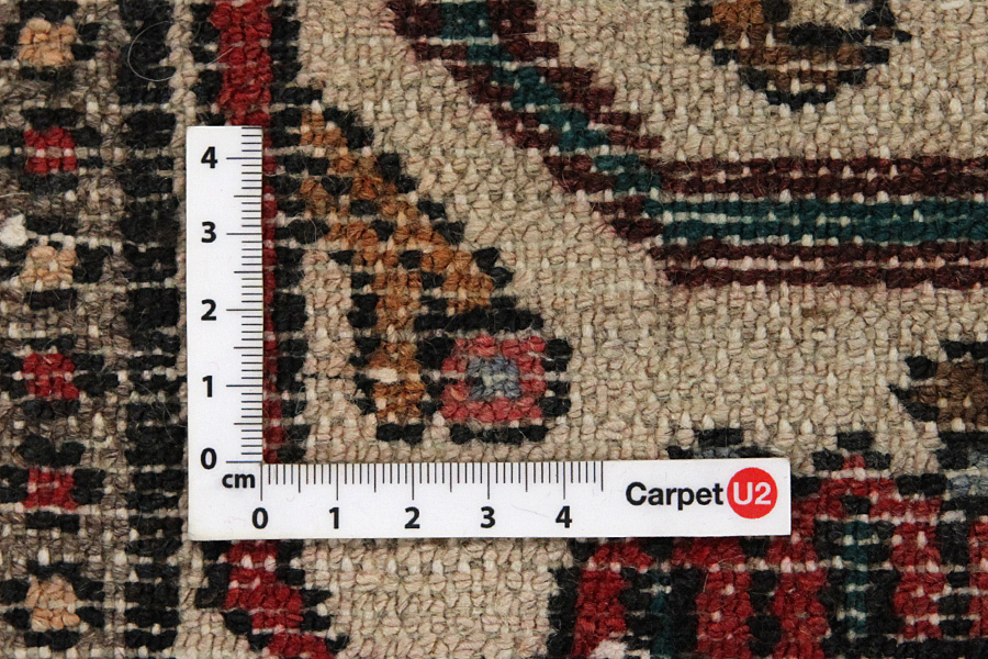 Bakhtiari - Garden Περσικό Χαλί 320x218 - Εικόνα 3