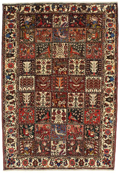 Bakhtiari Περσικό Χαλί 245x168