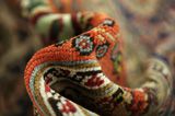 Kerman - Patina Περσικό Χαλί 352x250 - Εικόνα 7