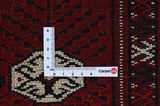Μπουχάρα - Turkaman Περσικό Χαλί 320x200 - Εικόνα 4