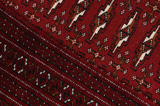 Μπουχάρα - Turkaman Περσικό Χαλί 125x60 - Εικόνα 6