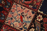 Bakhtiari - Garden Περσικό Χαλί 318x173 - Εικόνα 17