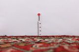 Borchalou - Hamadan Περσικό Χαλί 313x97 - Εικόνα 8