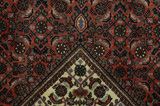 Bijar Περσικό Χαλί 248x156 - Εικόνα 6